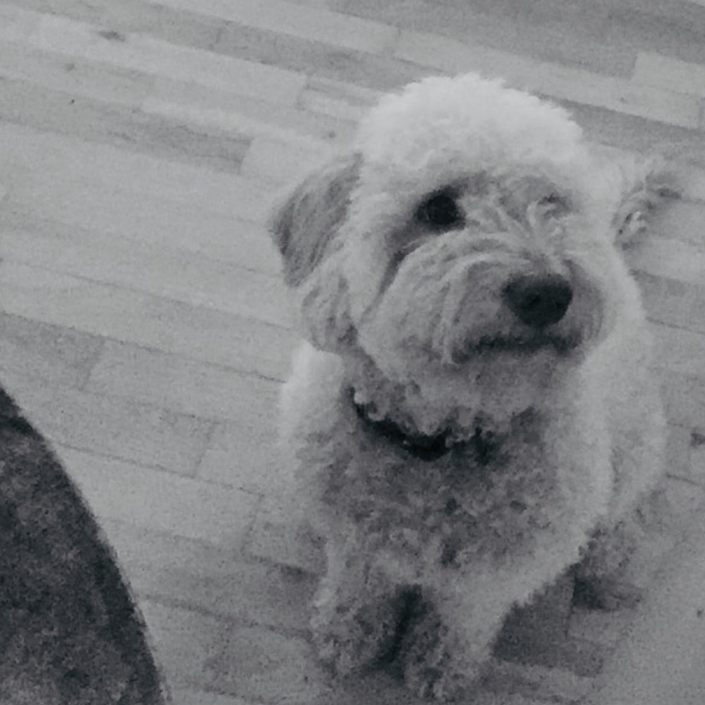 Meet your Posher, Yazmin